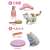Ania Friends Cat DP-BOX (Set of 12) (Animal Figure) Other picture3