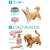 Ania Friends Dog DP-BOX (Set of 12) (Animal Figure) Other picture3