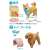 Ania Friends Dog DP-BOX (Set of 12) (Animal Figure) Other picture1