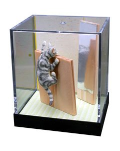 Miniature Animal Cats Japanese Room Scene Ran (Fashion Doll)