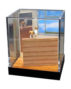 Miniature Animal Cats Western Room Scene Sora (Fashion Doll)