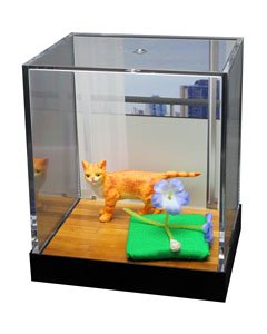 Miniature Animal Cats Western Room Scene Cookie (Fashion Doll)