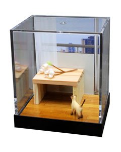 Miniature Animal Cats Western Room Scene Hime (Fashion Doll)