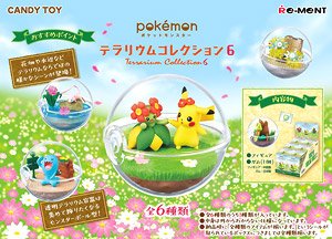 Pokemon Terrarium Collection 6 (Set of 6) (Shokugan)