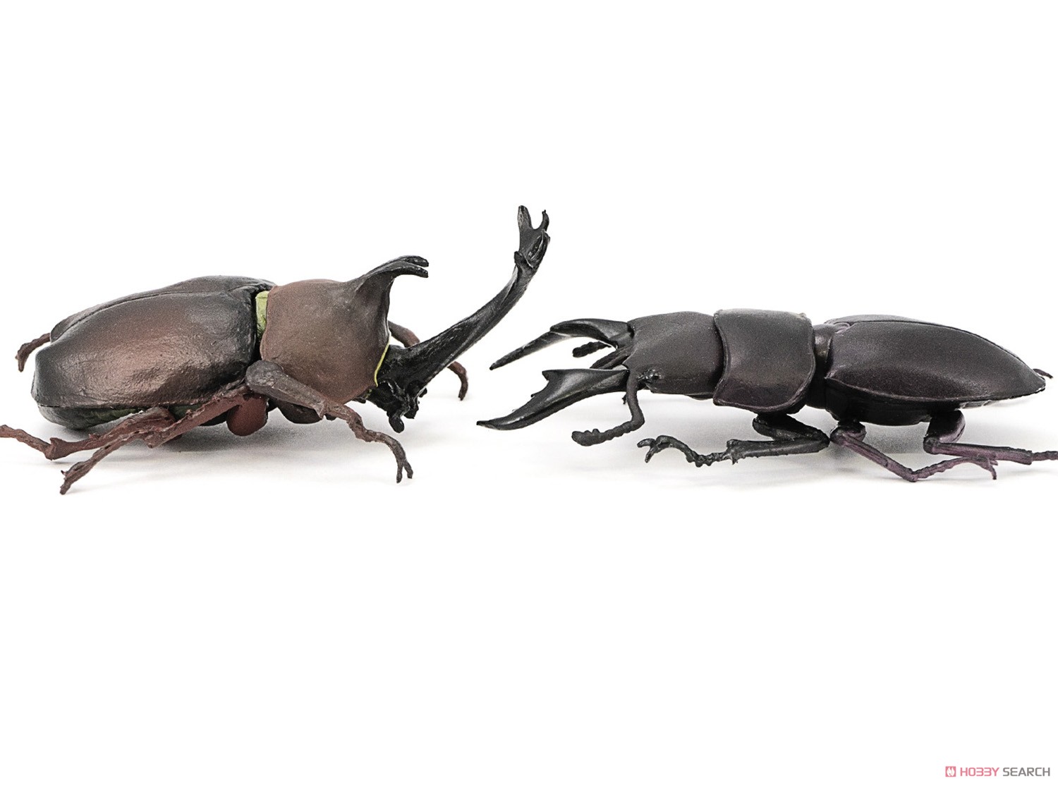 Insect Hunter Beetle x Stag Beetle 2019 (Set of 10) (Shokugan) Item picture13