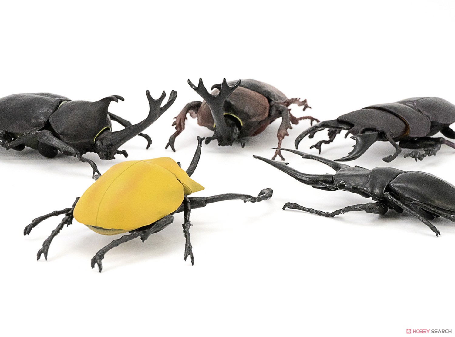 Insect Hunter Beetle x Stag Beetle 2019 (Set of 10) (Shokugan) Item picture14