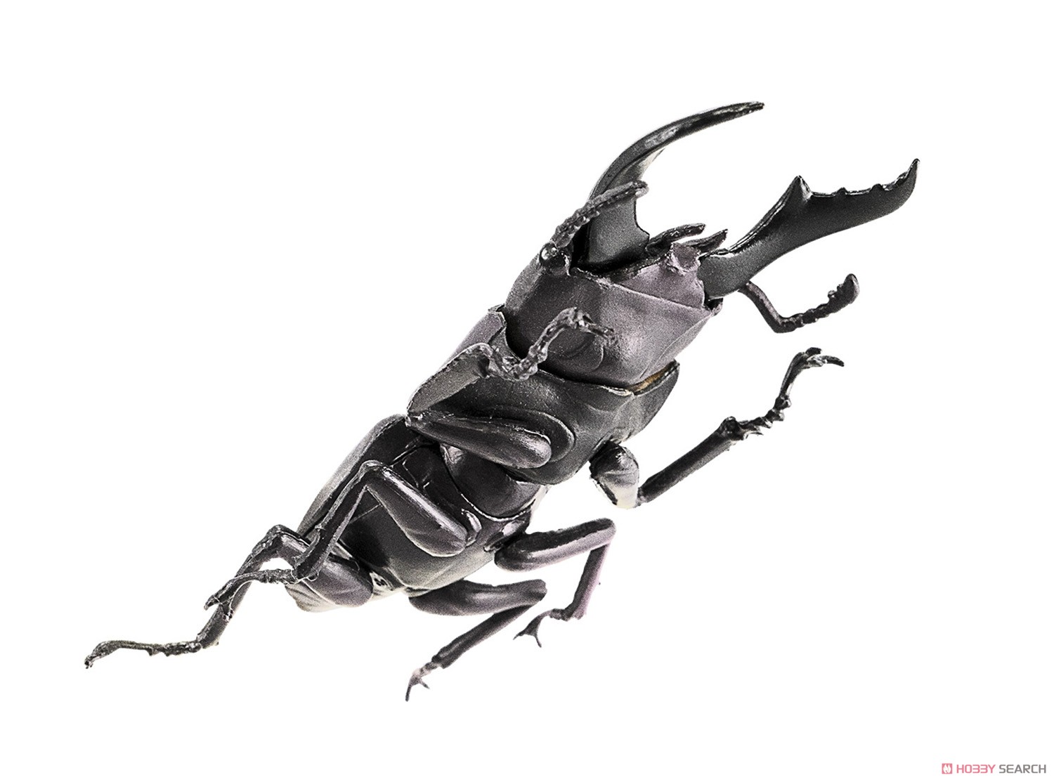 Insect Hunter Beetle x Stag Beetle 2019 (Set of 10) (Shokugan) Item picture8