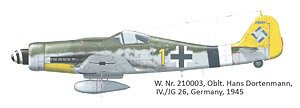 Fw190D-9 (プラモデル)