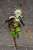 High Elf Archer (PVC Figure) Item picture1