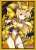Bushiroad Sleeve Collection HG Vol.2041 Fujimi Fantasia Bunko High School DxD [Asia Argento] (Card Sleeve) Item picture1