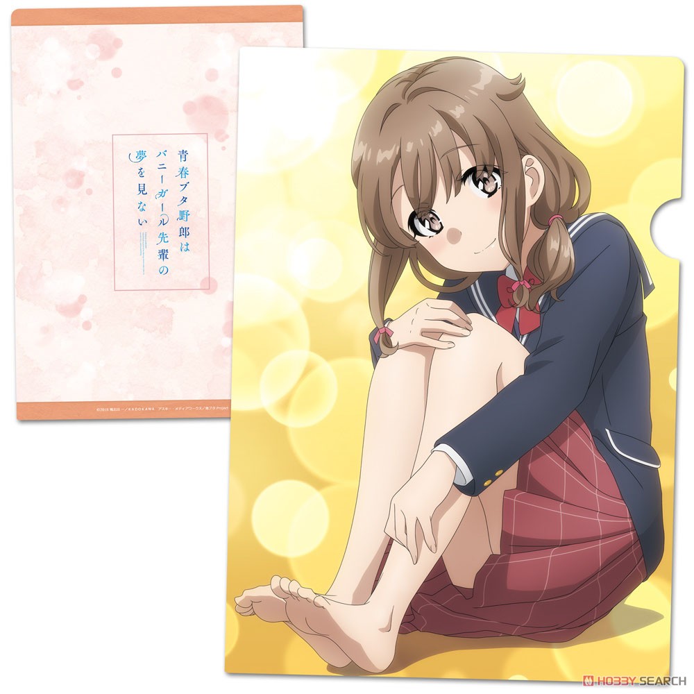 Rascal Does Not Dream of Bunny Girl Senpai Clear File F (Anime Toy) Item picture1