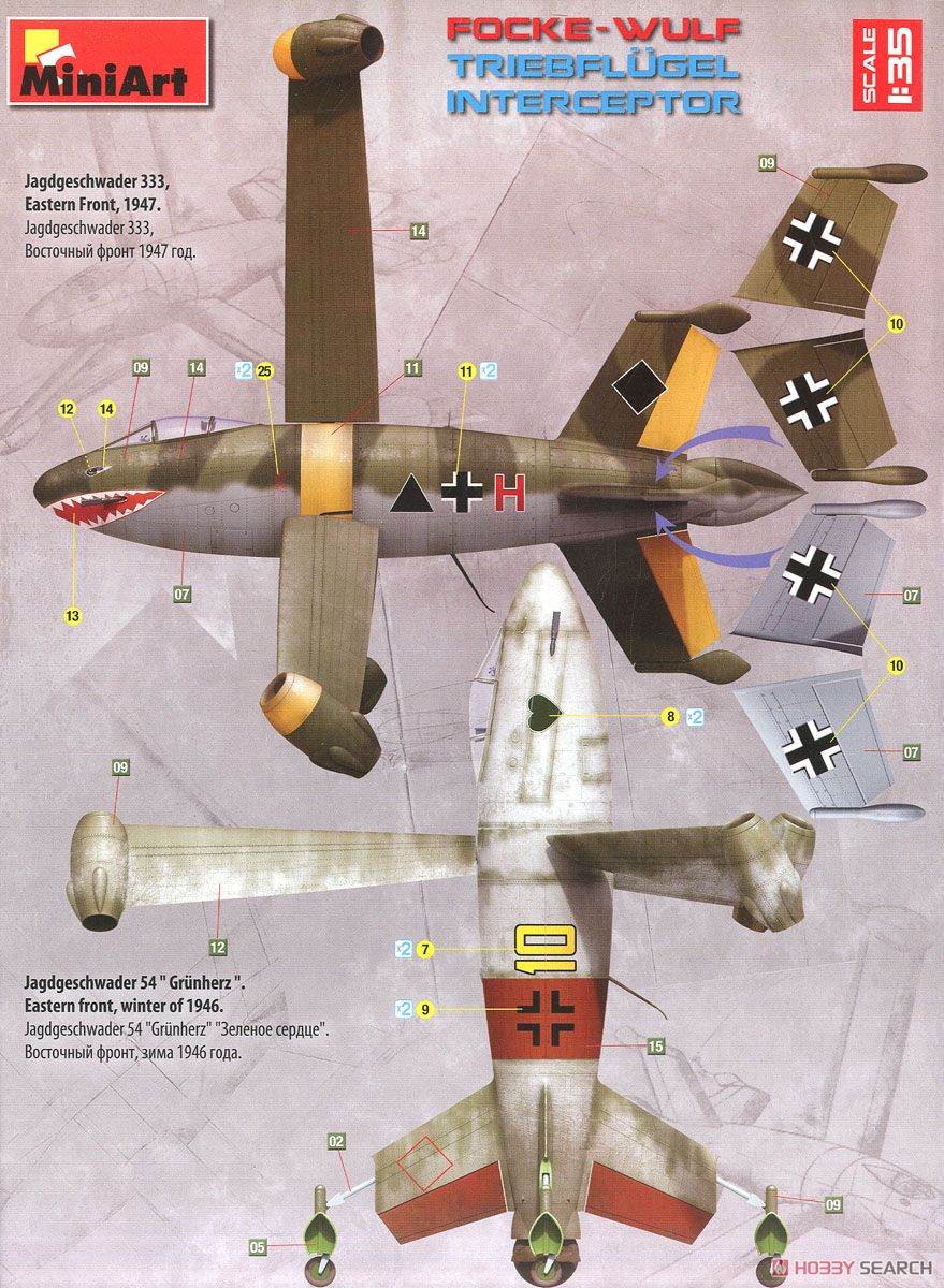 Focke Wulf Triebflugel Interceptor (Plastic model) Color3