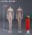 Female Joint Body B Wheat (Fashion Doll) Other picture1