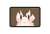 【もにゅキャラシリーズ】文豪ストレイドッグス ケーブルカバーコレクション (6個セット) (キャラクターグッズ) 商品画像2