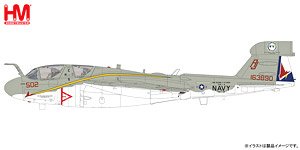 EA-6B Prowler `VAQ-134 Retirement Paint Machine` (Pre-built Aircraft)