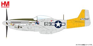 P-51D Mustang `Hon Mistake` (Pre-built Aircraft)
