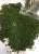 ジオラマ素材 暗緑色の茂み(茂み用素材) (プラモデル) 商品画像3