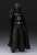 S.H.Figuarts Darth Vader (Star Wars: Return of the Jedi) (Completed) Item picture7