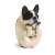 ANIMAL LIFE 犬のヨガマスター (6個セット) (キャラクターグッズ) 商品画像6
