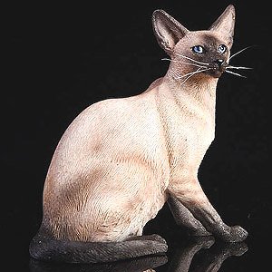 Siamese Cat Egypt Sitting C (Fashion Doll)