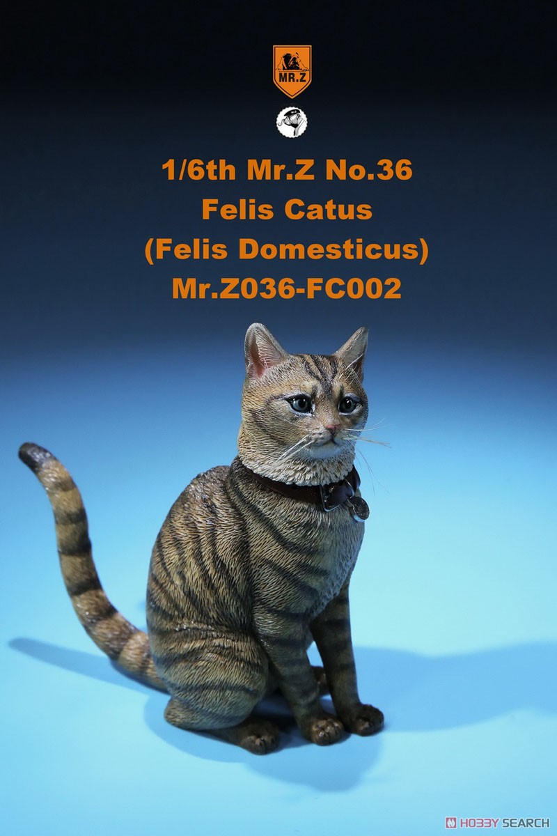 Felis Catus (Felis Domesticus) FC002 (Fashion Doll) Item picture2