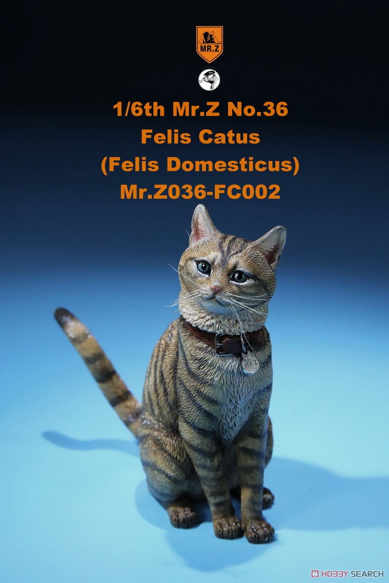 Felis Catus (Felis Domesticus) FC002 (Fashion Doll) Item picture3