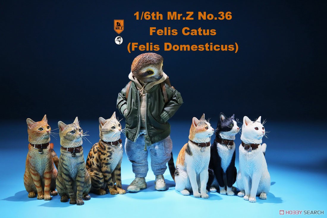 Felis Catus (Felis Domesticus) FC002 (Fashion Doll) Other picture3