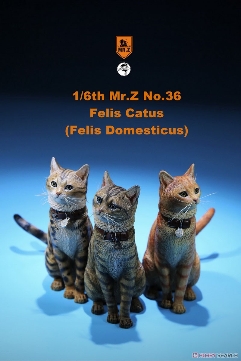 Felis Catus (Felis Domesticus) FC002 (Fashion Doll) Other picture5