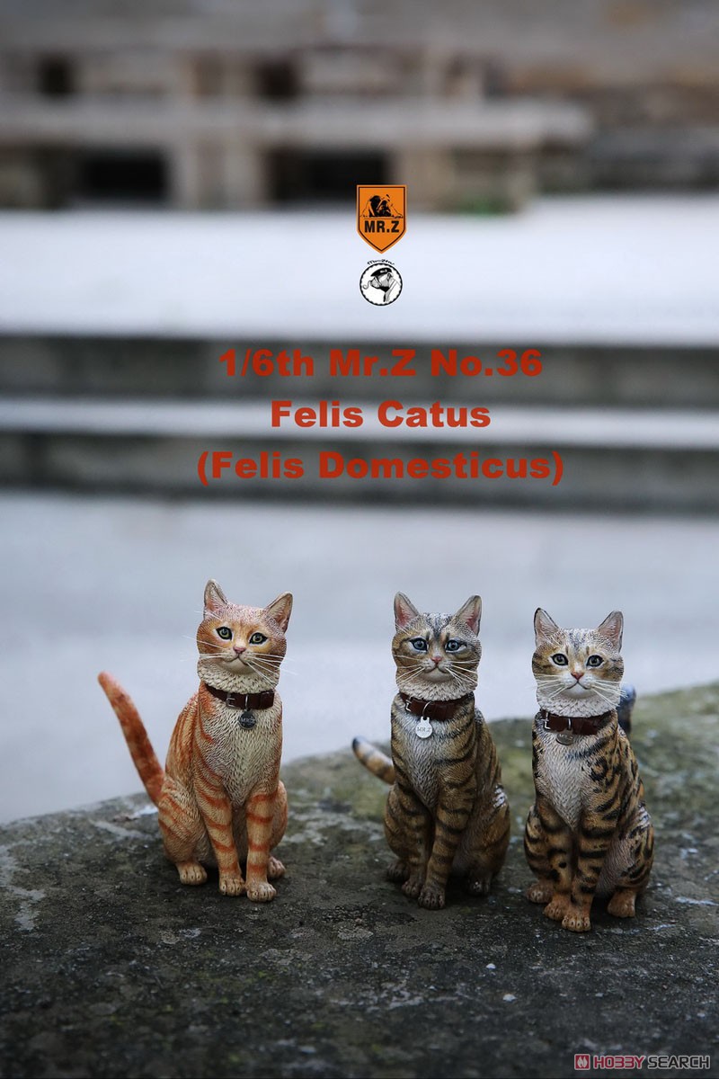 Felis Catus (Felis Domesticus) FC002 (Fashion Doll) Other picture6