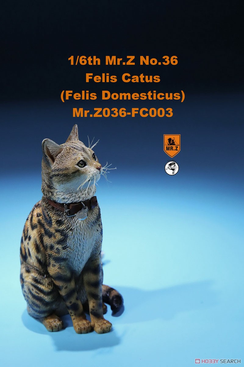 家猫 FC003 (ドール) 商品画像6