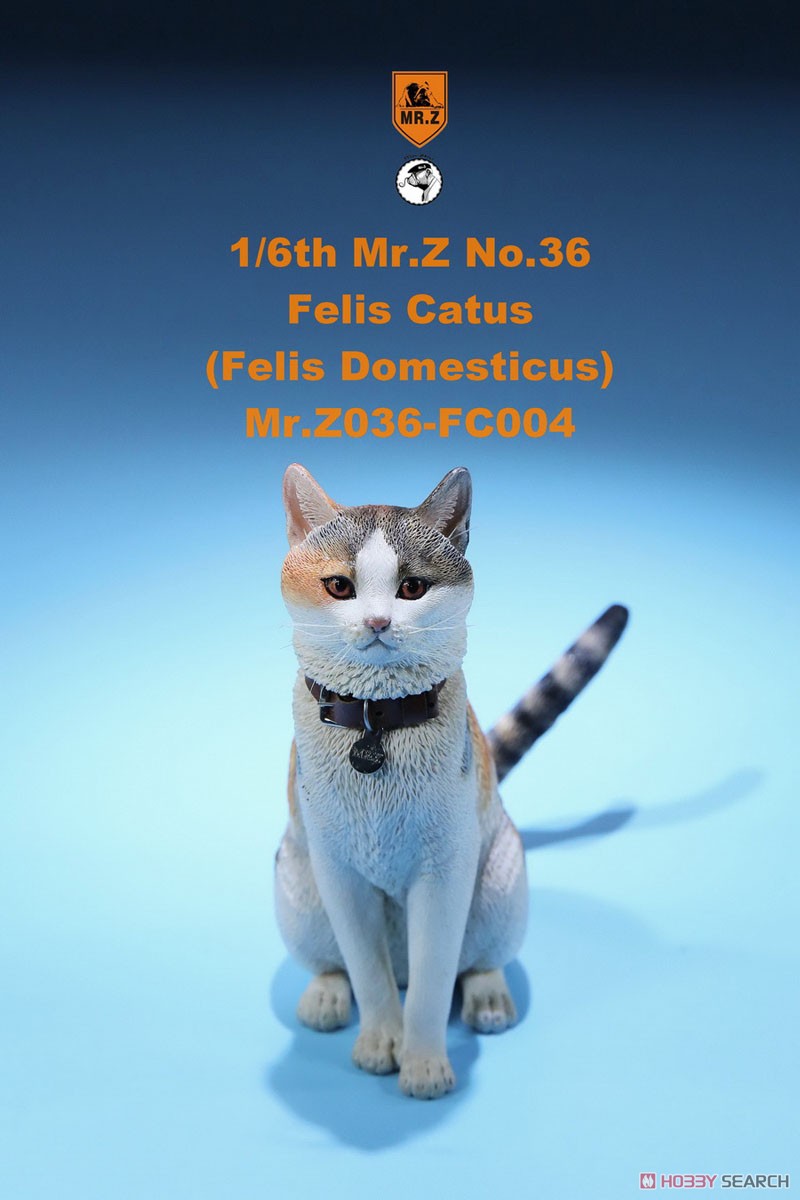 Felis Catus (Felis Domesticus) FC004 (Fashion Doll) Item picture1