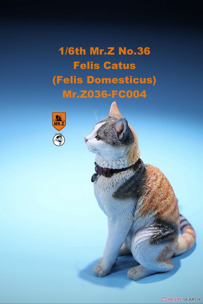 Felis Catus (Felis Domesticus) FC004 (Fashion Doll) Item picture3