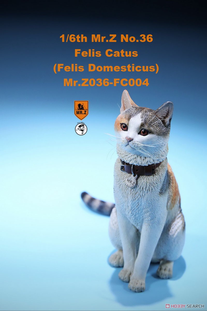 Felis Catus (Felis Domesticus) FC004 (Fashion Doll) Item picture4
