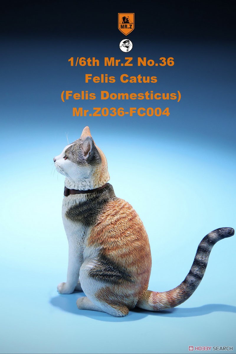 Felis Catus (Felis Domesticus) FC004 (Fashion Doll) Item picture5