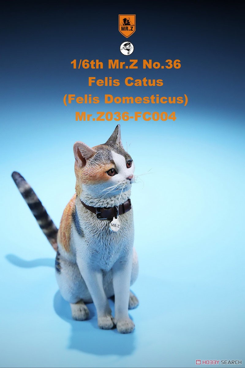 Felis Catus (Felis Domesticus) FC004 (Fashion Doll) Item picture6