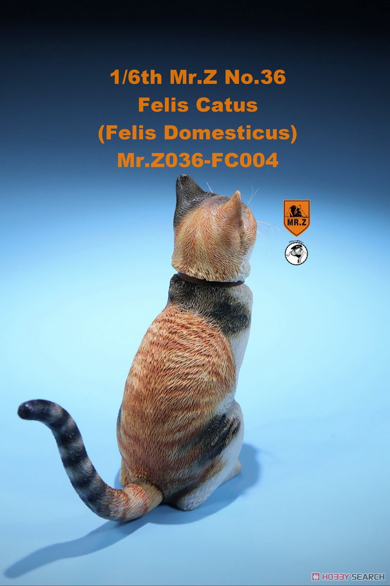 Felis Catus (Felis Domesticus) FC004 (Fashion Doll) Item picture8