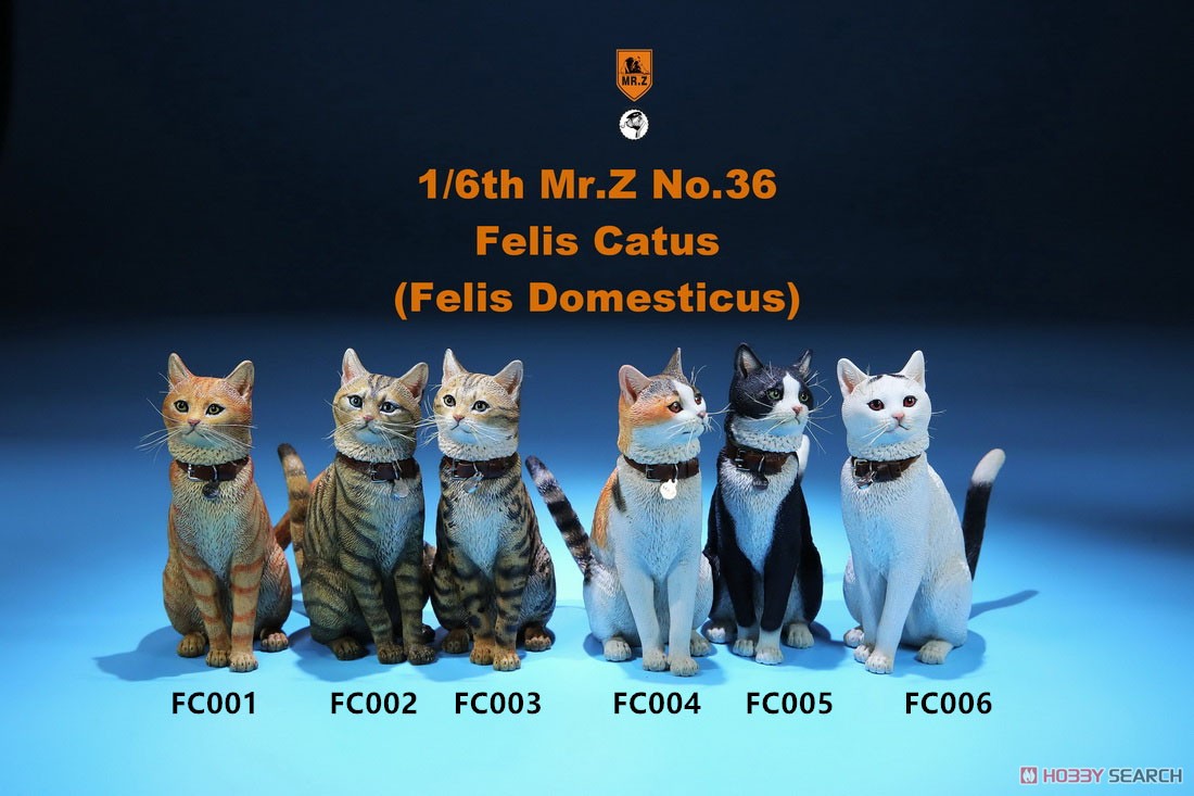 Felis Catus (Felis Domesticus) FC004 (Fashion Doll) Other picture1
