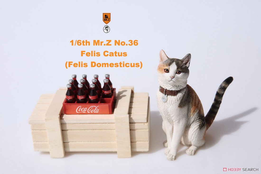 Felis Catus (Felis Domesticus) FC004 (Fashion Doll) Other picture11