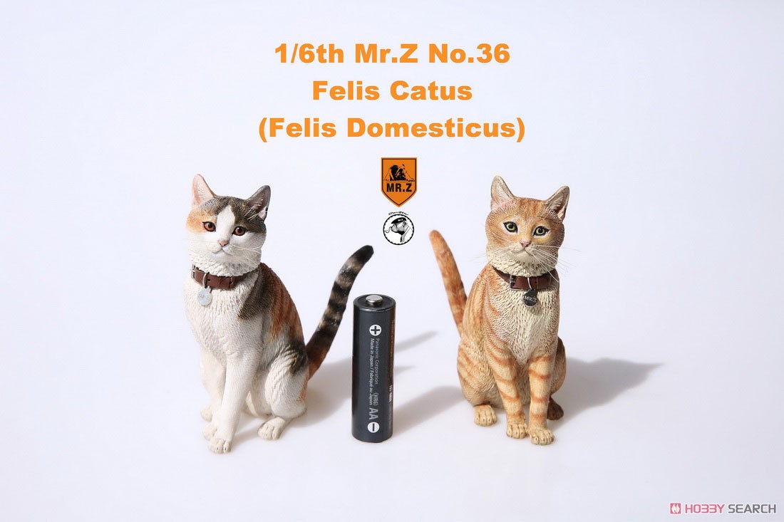 Felis Catus (Felis Domesticus) FC004 (Fashion Doll) Other picture13