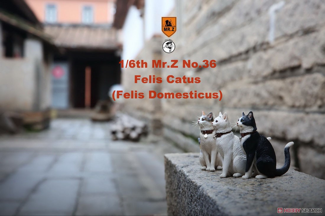 Felis Catus (Felis Domesticus) FC004 (Fashion Doll) Other picture2