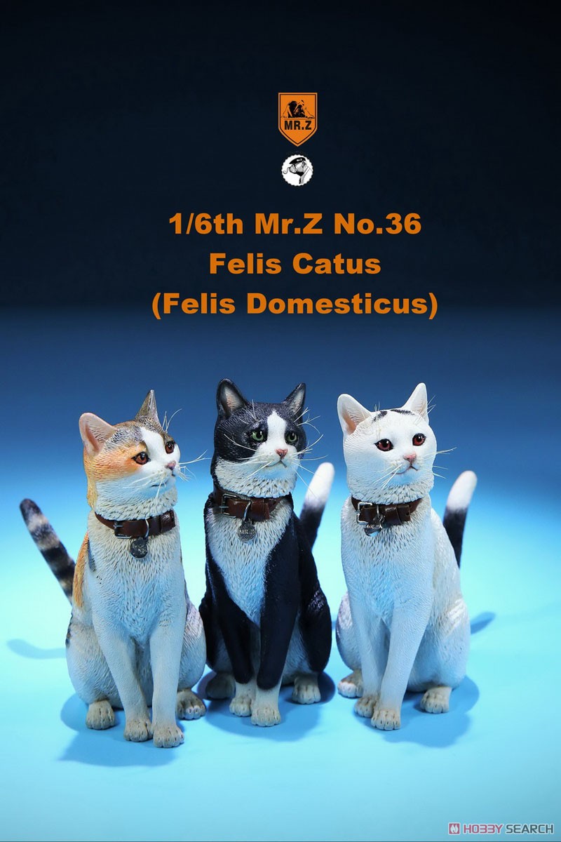 Felis Catus (Felis Domesticus) FC004 (Fashion Doll) Other picture6