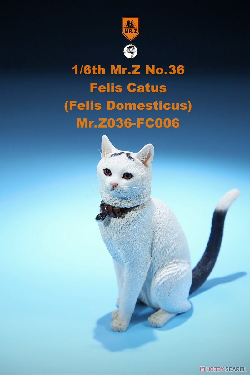 Felis Catus (Felis Domesticus) FC006 (Fashion Doll) Item picture5