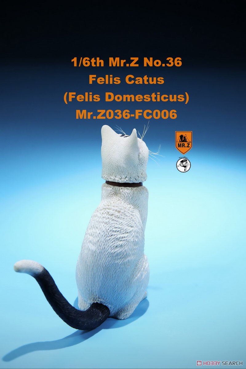 家猫 FC006 (ドール) 商品画像9