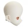 50-05 Head (Whity) (Fashion Doll) 商品画像3 Thumbnail
