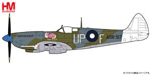 Spitfire MK.VIII `HAVA GO JO!!` Lt.Norm Smithell, No.79 Sqn., RAAF, Summer 1945 (Pre-built Aircraft)