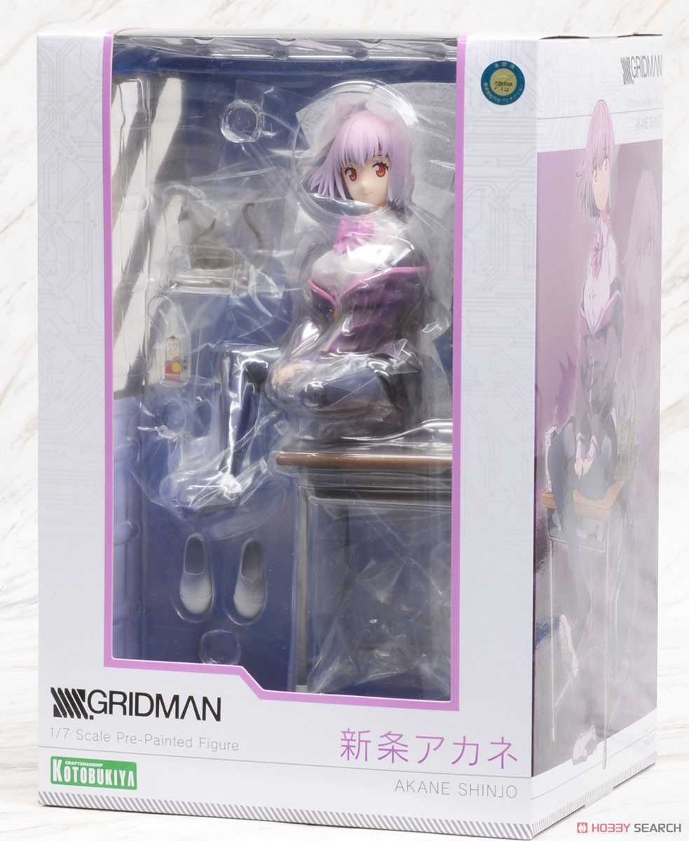 Akane Shinjo (PVC Figure) Package1