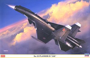 Su-33 Flanker-D `UAV` (Plastic model)