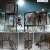 Display Diorama Abandoned Steel Scaffolding A (Fashion Doll) Other picture1