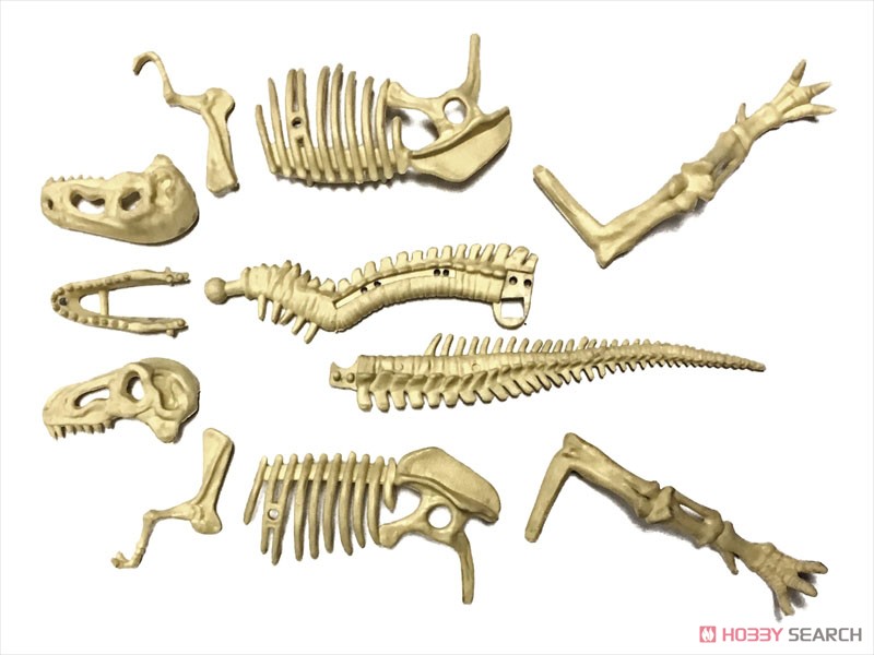 恐竜化石発掘モデル ティラノサウルス (プラモデル) その他の画像3
