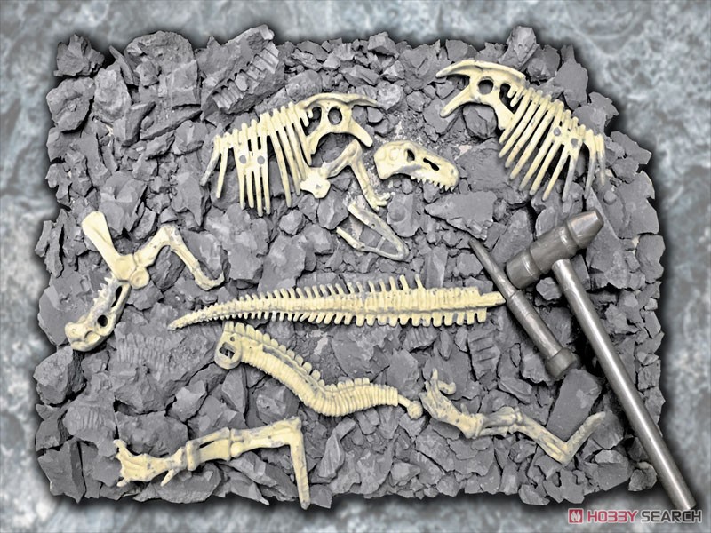 恐竜化石発掘モデル ティラノサウルス (プラモデル) その他の画像5